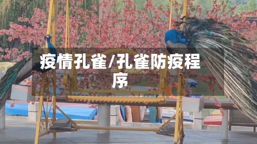 疫情孔雀/孔雀防疫程序