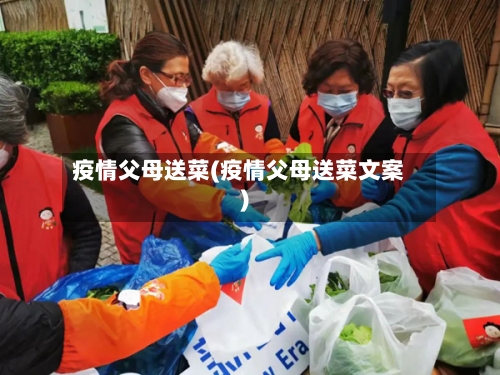 疫情父母送菜(疫情父母送菜文案)-第2张图片