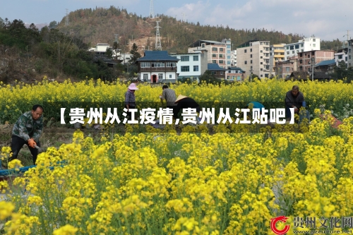 【贵州从江疫情,贵州从江贴吧】-第2张图片