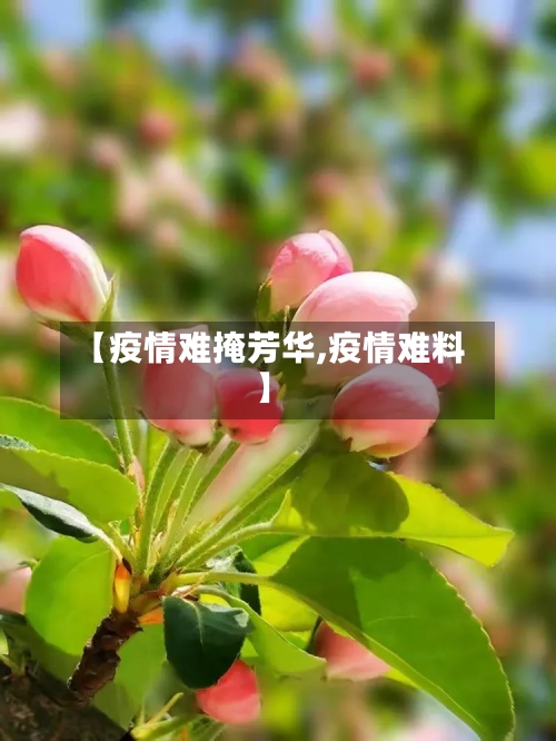 【疫情难掩芳华,疫情难料】-第3张图片