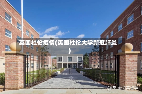 英国杜伦疫情(英国杜伦大学新冠肺炎)-第2张图片