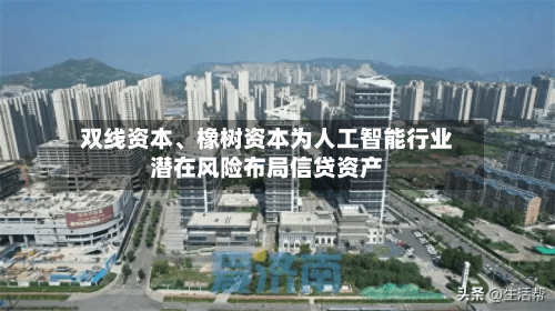 双线资本、橡树资本为人工智能行业潜在风险布局信贷资产-第2张图片