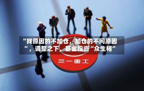 “找原因的不加仓，加仓的不问原因”	，调整之下，基金投资“众生相	”-第3张图片