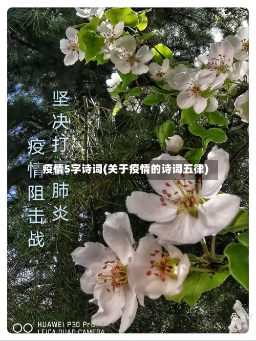 疫情5字诗词(关于疫情的诗词五律)-第2张图片