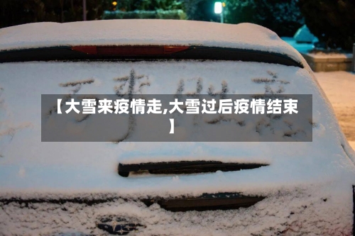 【大雪来疫情走,大雪过后疫情结束】-第2张图片