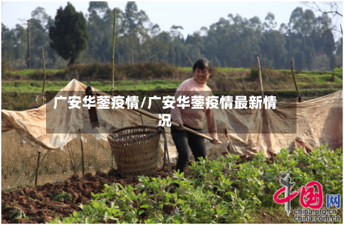 广安华蓥疫情/广安华蓥疫情最新情况-第2张图片