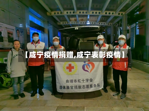 【咸宁疫情捐赠,咸宁表彰疫情】