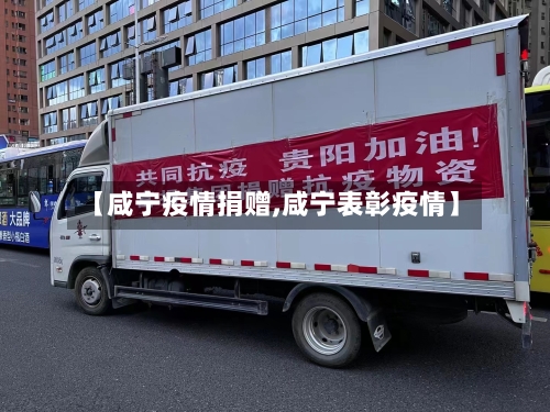 【咸宁疫情捐赠,咸宁表彰疫情】-第3张图片
