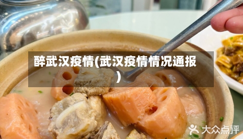 醉武汉疫情(武汉疫情情况通报)-第2张图片