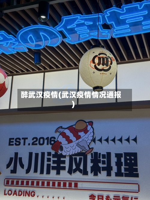 醉武汉疫情(武汉疫情情况通报)