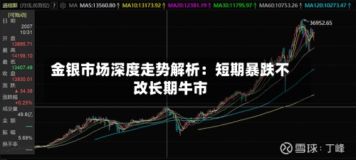 金银市场深度走势解析：短期暴跌不改长期牛市