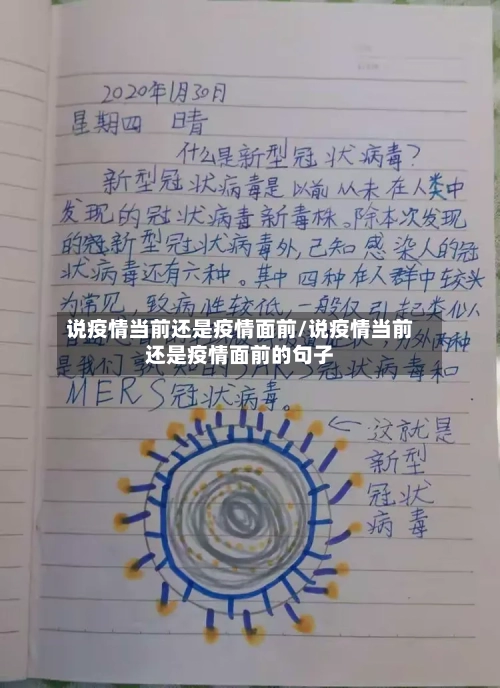 说疫情当前还是疫情面前/说疫情当前还是疫情面前的句子-第2张图片