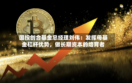 国投创合基金总经理刘伟：发挥母基金杠杆优势	，做长期资本的培育者-第3张图片
