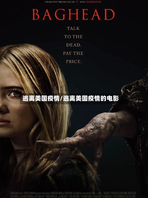 逃离美国疫情/逃离美国疫情的电影-第3张图片