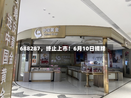 688287，终止上市！6月10日摘牌-第3张图片