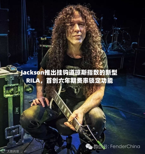 Jackson推出挂钩道琼斯指数的新型RILA，首创六年期费率锁定功能-第2张图片