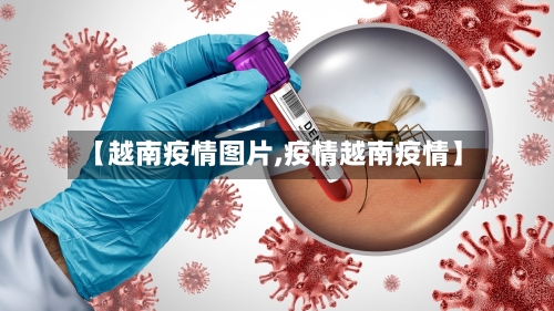 【越南疫情图片,疫情越南疫情】