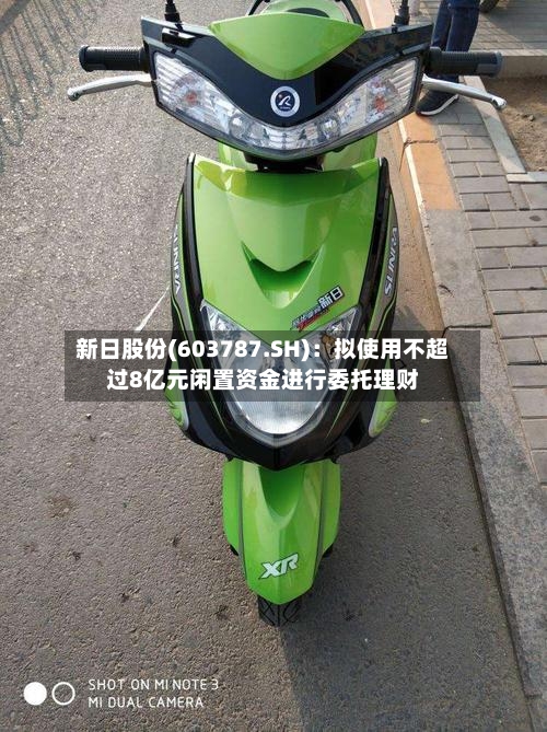 新日股份(603787.SH)：拟使用不超过8亿元闲置资金进行委托理财