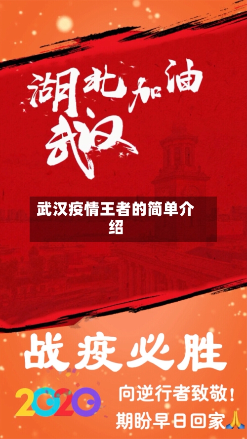 武汉疫情王者的简单介绍