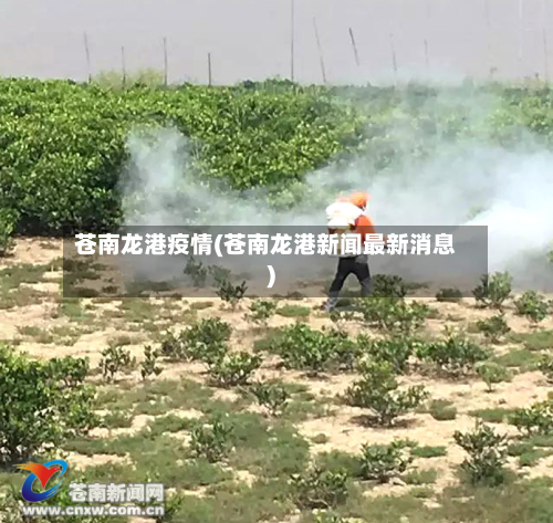 苍南龙港疫情(苍南龙港新闻最新消息)