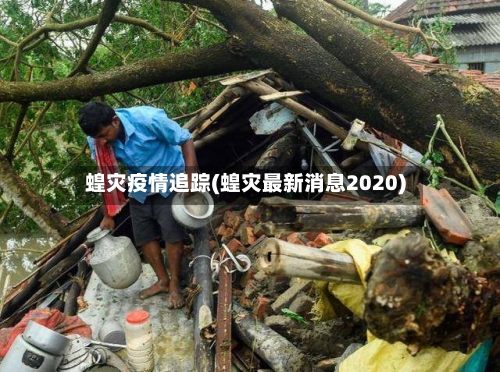 蝗灾疫情追踪(蝗灾最新消息2020)-第2张图片