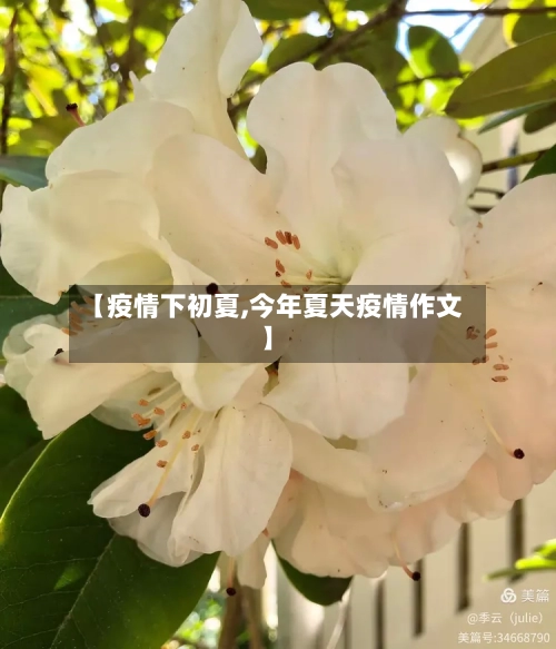 【疫情下初夏,今年夏天疫情作文】-第2张图片