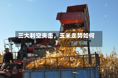 三大利空夹击，玉米走势如何？