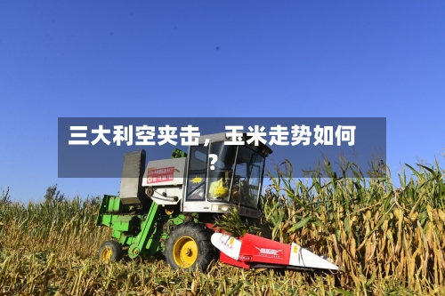 三大利空夹击	，玉米走势如何？-第3张图片