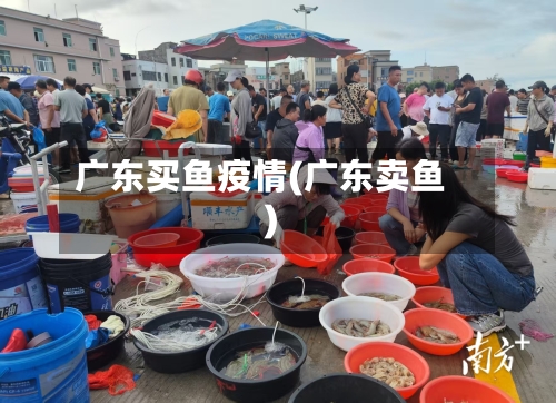 广东买鱼疫情(广东卖鱼)-第2张图片