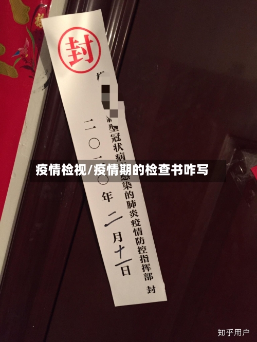 疫情检视/疫情期的检查书咋写