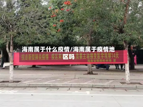 海南属于什么疫情/海南属于疫情地区吗