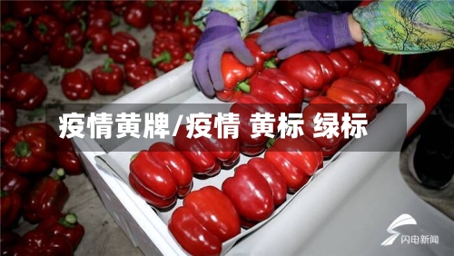 疫情黄牌/疫情 黄标 绿标