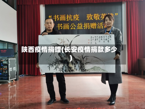 陕西疫情捐赠(长安疫情捐款多少)