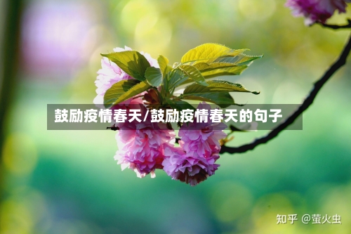 鼓励疫情春天/鼓励疫情春天的句子-第2张图片