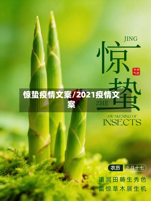 惊蛰疫情文案/2021疫情文案-第2张图片