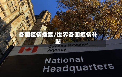 各国疫情拨款/世界各国疫情补贴