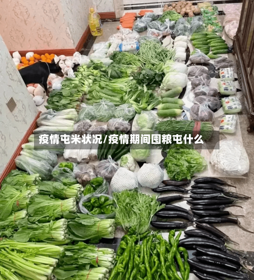 疫情屯米状况/疫情期间囤粮屯什么