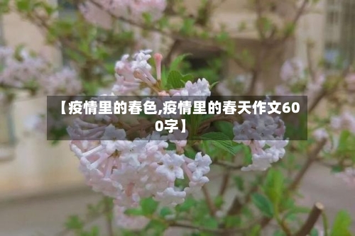 【疫情里的春色,疫情里的春天作文600字】