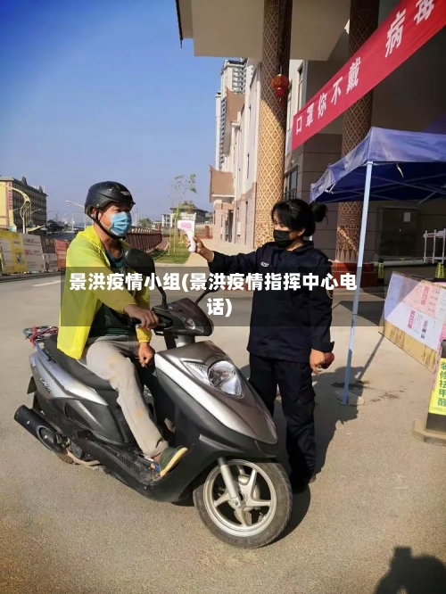 景洪疫情小组(景洪疫情指挥中心电话)-第2张图片