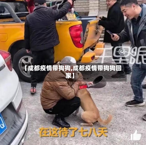 【成都疫情带狗狗,成都疫情带狗狗回家】-第3张图片