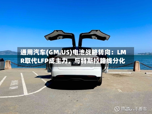 通用汽车(GM.US)电池战略转向：LMR取代LFP成主力，与特斯拉路线分化-第3张图片