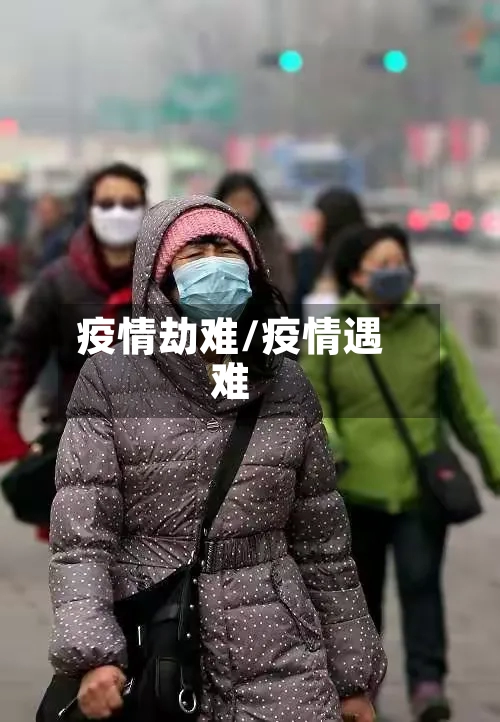 疫情劫难/疫情遇难