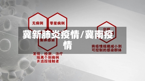 冀新肺炎疫情/冀南疫情-第3张图片