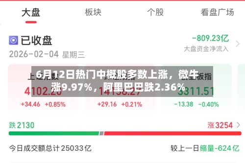 6月12日热门中概股多数上涨	，微牛涨9.97%，阿里巴巴跌2.36%-第2张图片