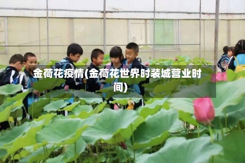 金荷花疫情(金荷花世界时装城营业时间)