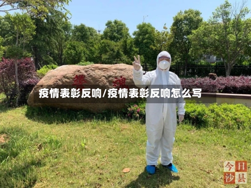 疫情表彰反响/疫情表彰反响怎么写-第2张图片