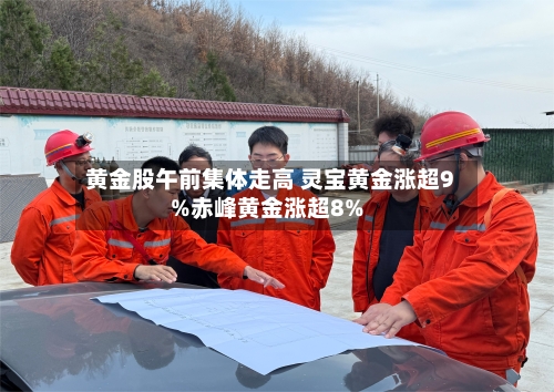 黄金股午前集体走高 灵宝黄金涨超9%赤峰黄金涨超8%