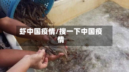 虾中国疫情/搜一下中国疫情