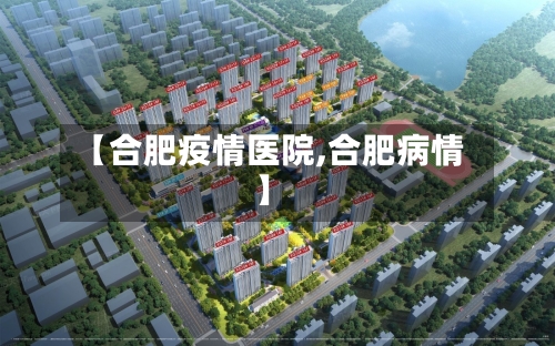 【合肥疫情医院,合肥病情】-第2张图片
