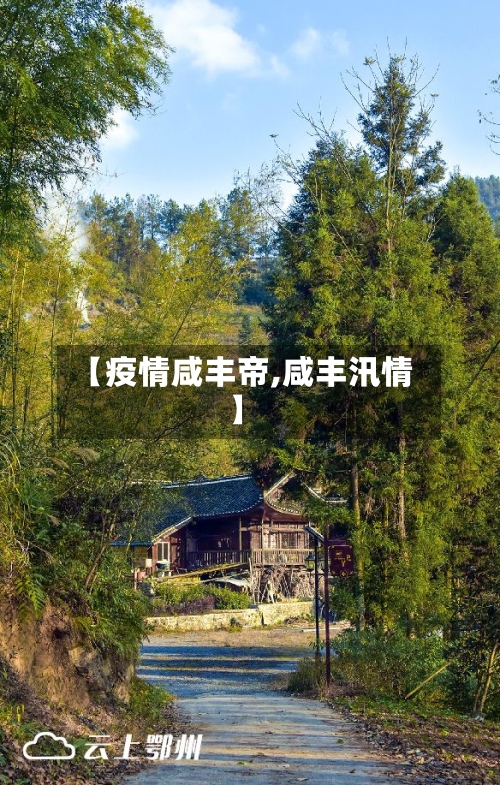 【疫情咸丰帝,咸丰汛情】